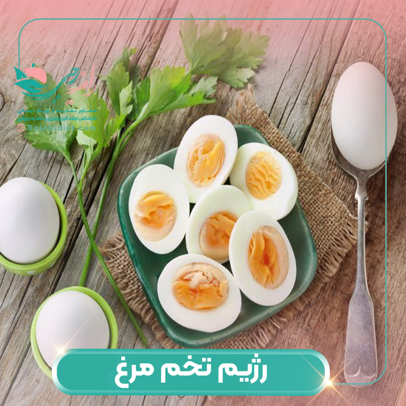 رژیم تخم مرغ و فواید تخم مرغ را بشناسید