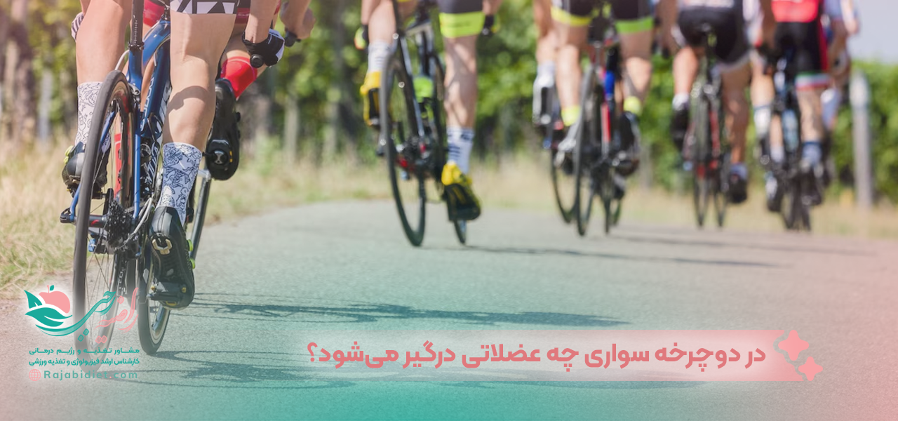در دوچرخه سواری چه عضلاتی درگیر میشود؟